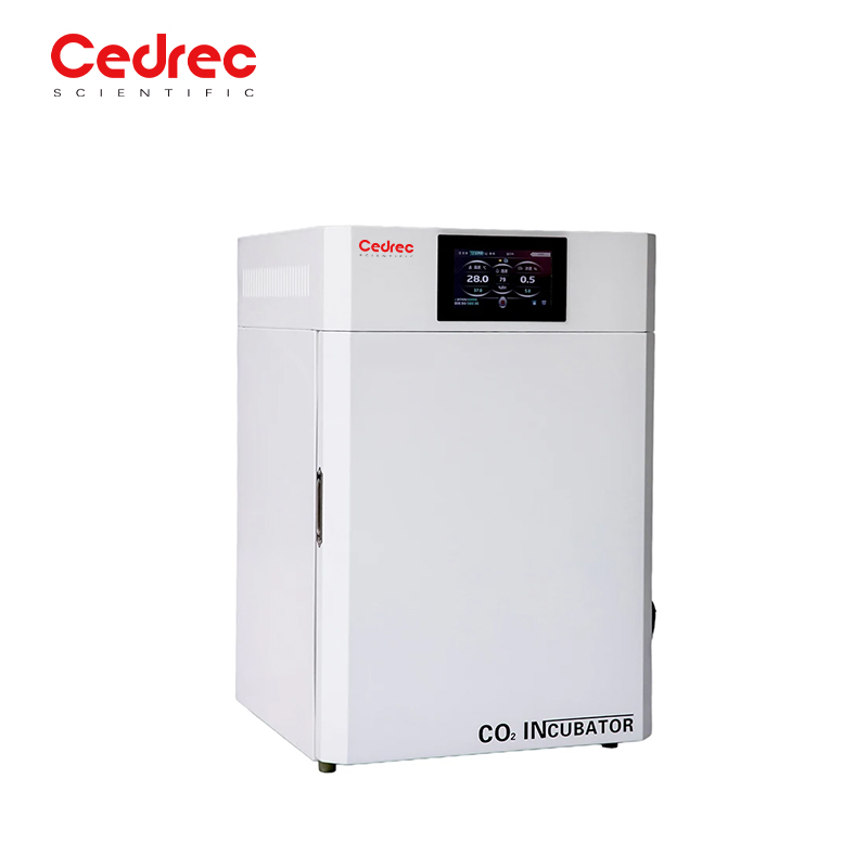 Incubator Co2 Lab - Laboratory Microbiology Constant Temperature 80L Infrared