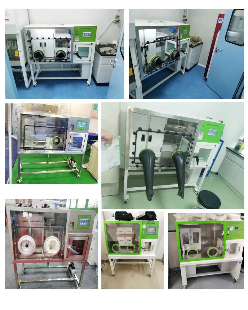 WEIAI Anaerobic Workstation LA - Incubator Co2 Lab 评论和价格